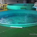 Safety Net Installed Over Tank